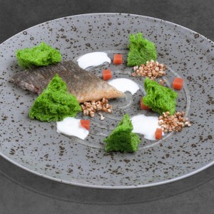 Bowl Lifestyle Highland 170mm